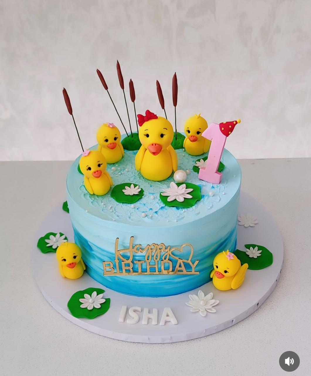 Duck